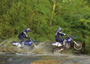 Yamaha WR250F